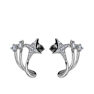 G1PV10430 Серьги (Серебро Серьги (Ag 925)