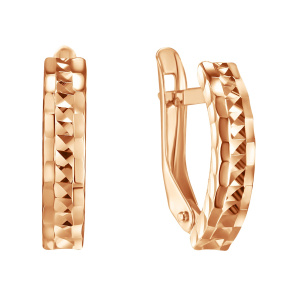 Срг01-01 Серьги (Au 585)