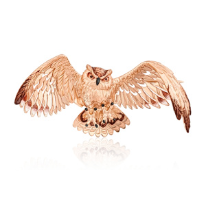 04-0181-00-000-1110-59 Брошь (Au 585)