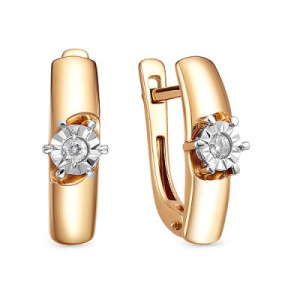 26-5-3653-103И3-2К-БР Серьги (Au 585)