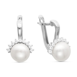 Z2-9426 Серьги (Ag 925)