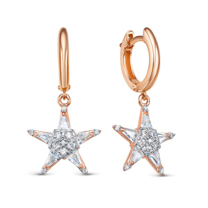 120554-фиа Серьги (Au 585)