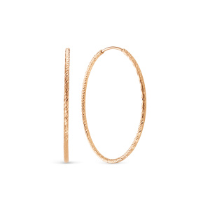 020030-11-б вс Серьги (Au 585)